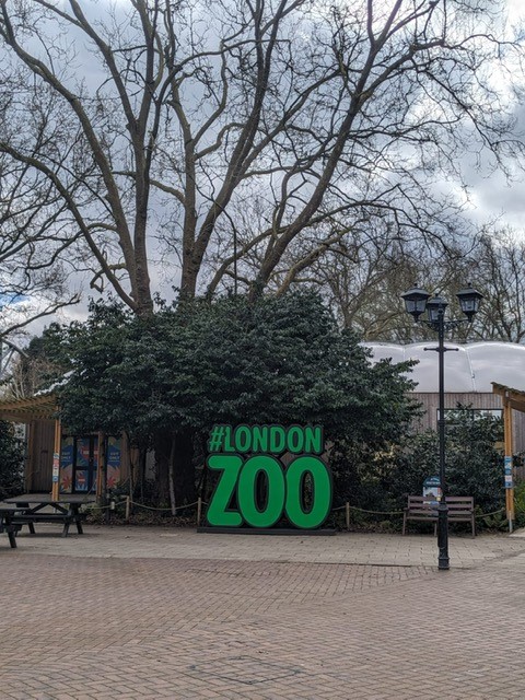 Zoo1